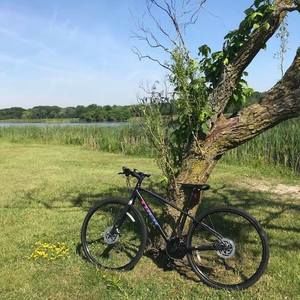 Meet your Posher, Priscilla